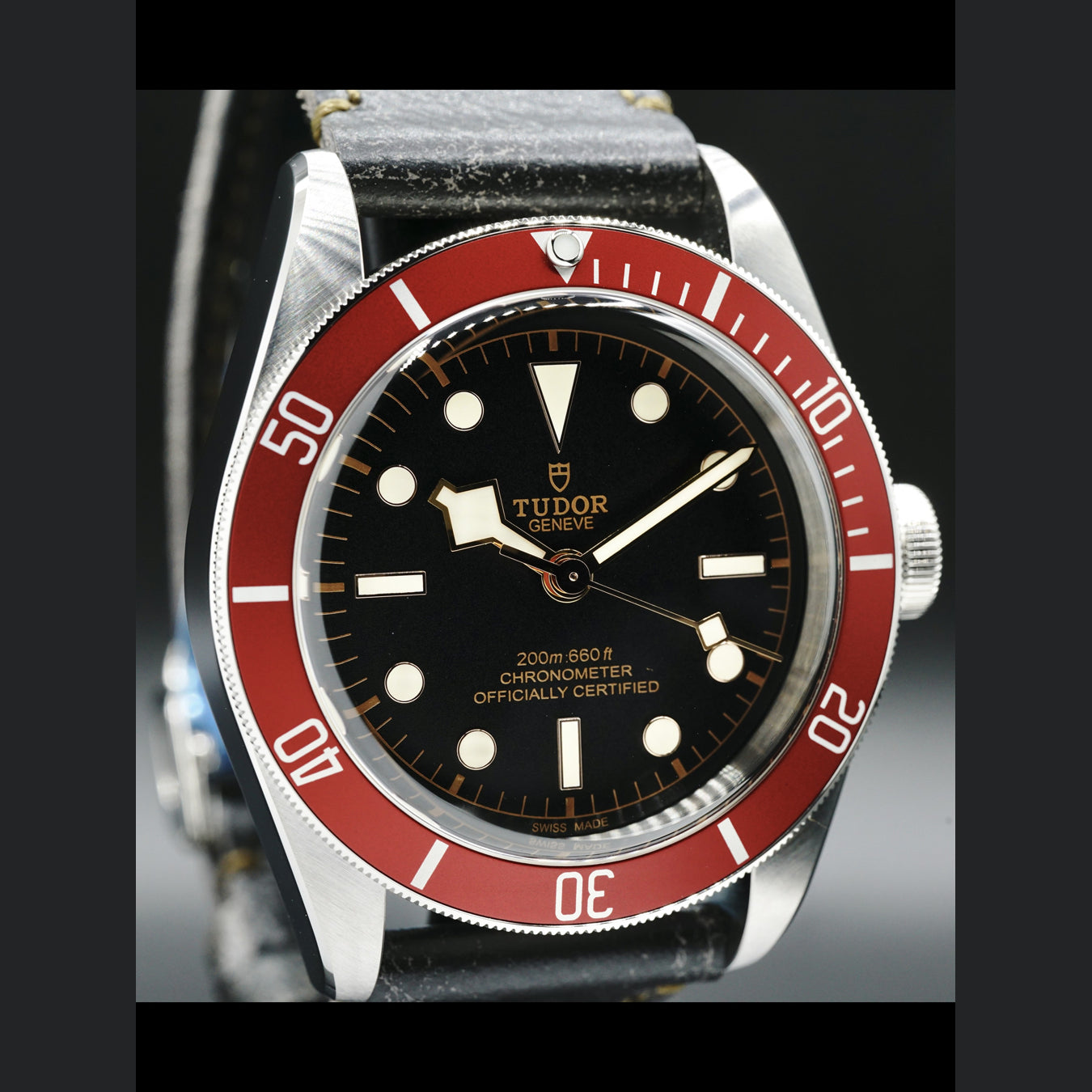 Tudor Black Bay 79230R