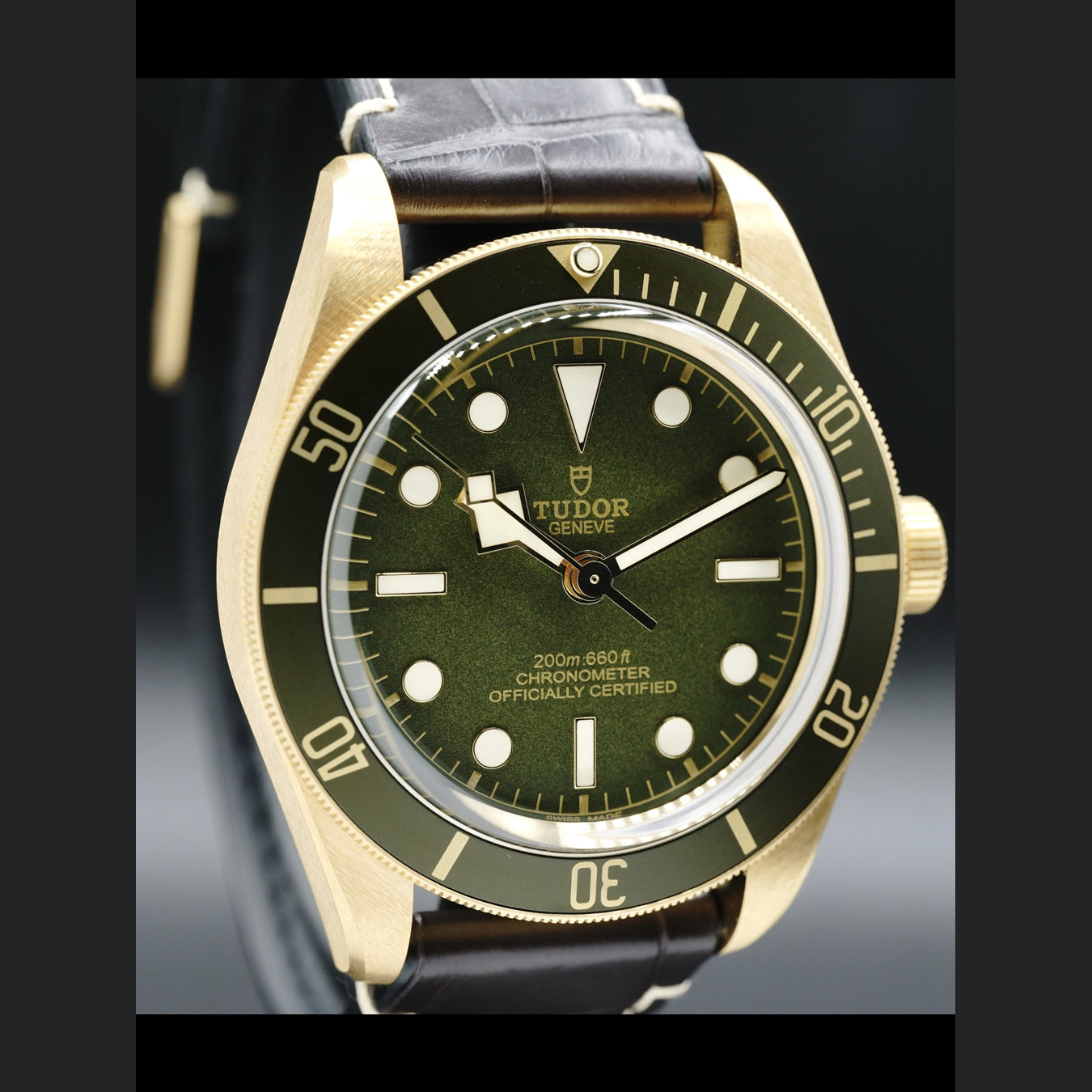 Tudor Yellow Gold Black Bay 79018V