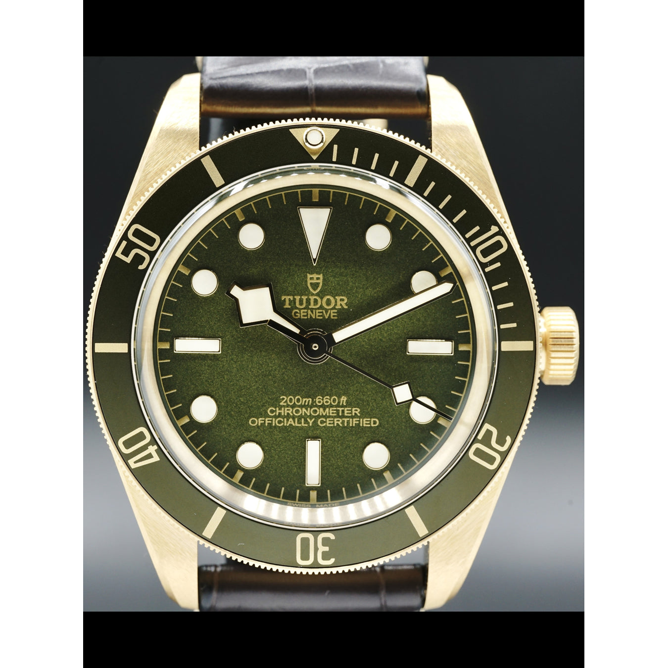 Tudor Yellow Gold Black Bay 79018V