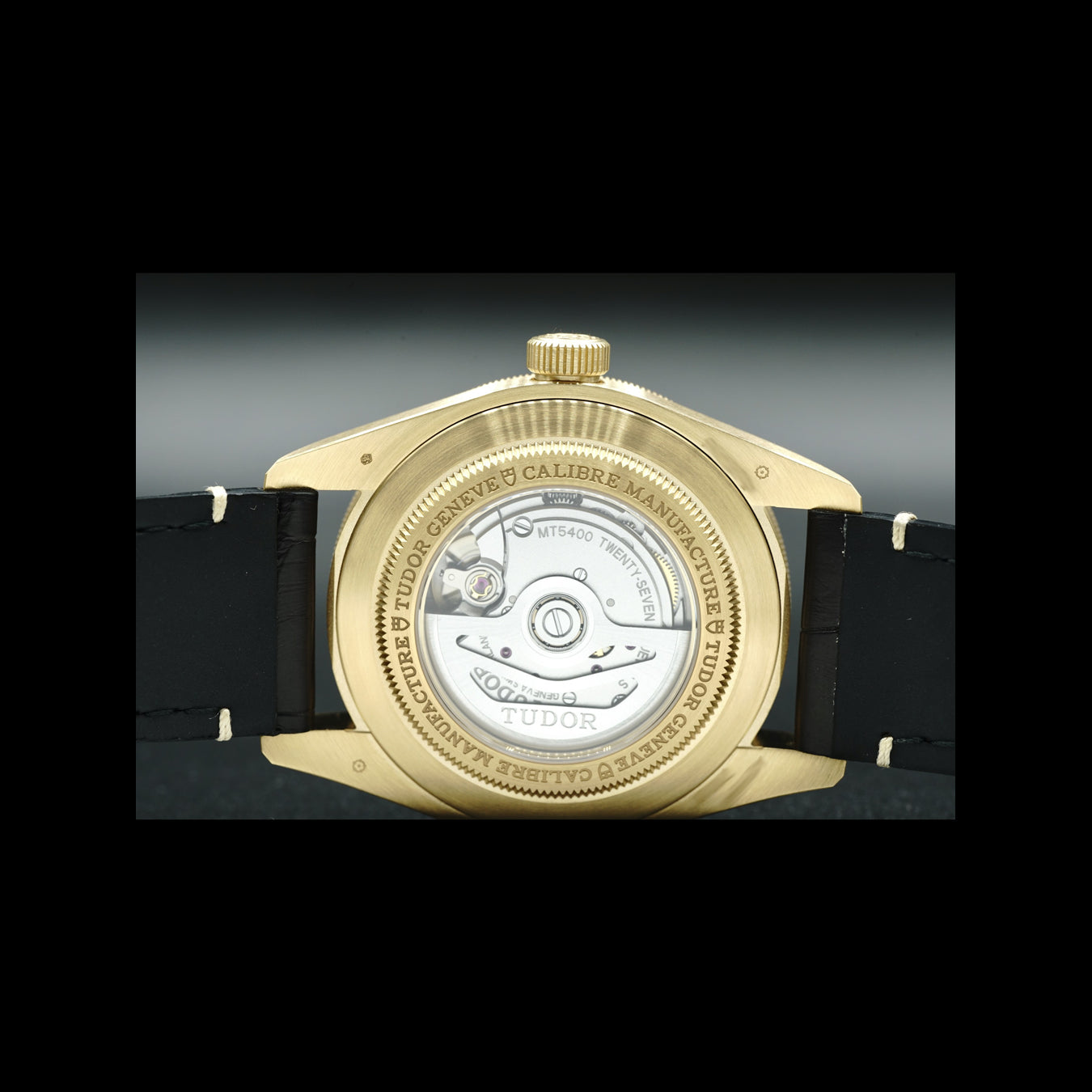 Tudor Yellow Gold Black Bay 79018V