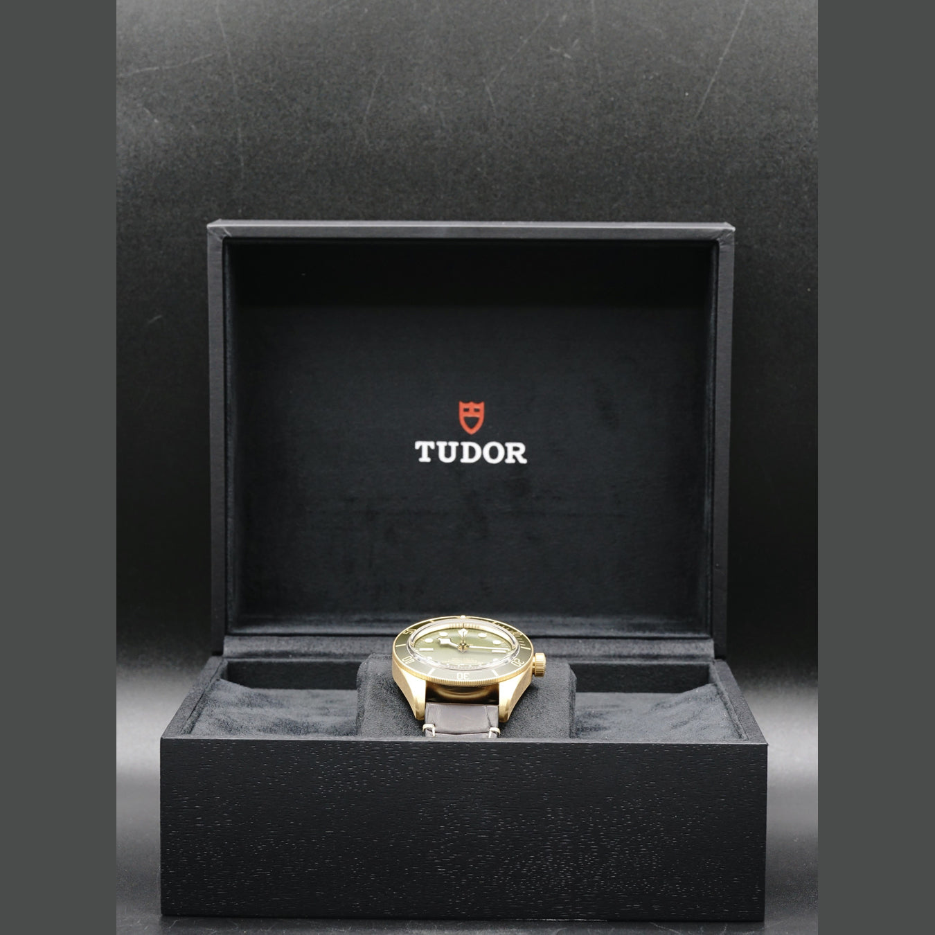 Tudor Yellow Gold Black Bay 79018V