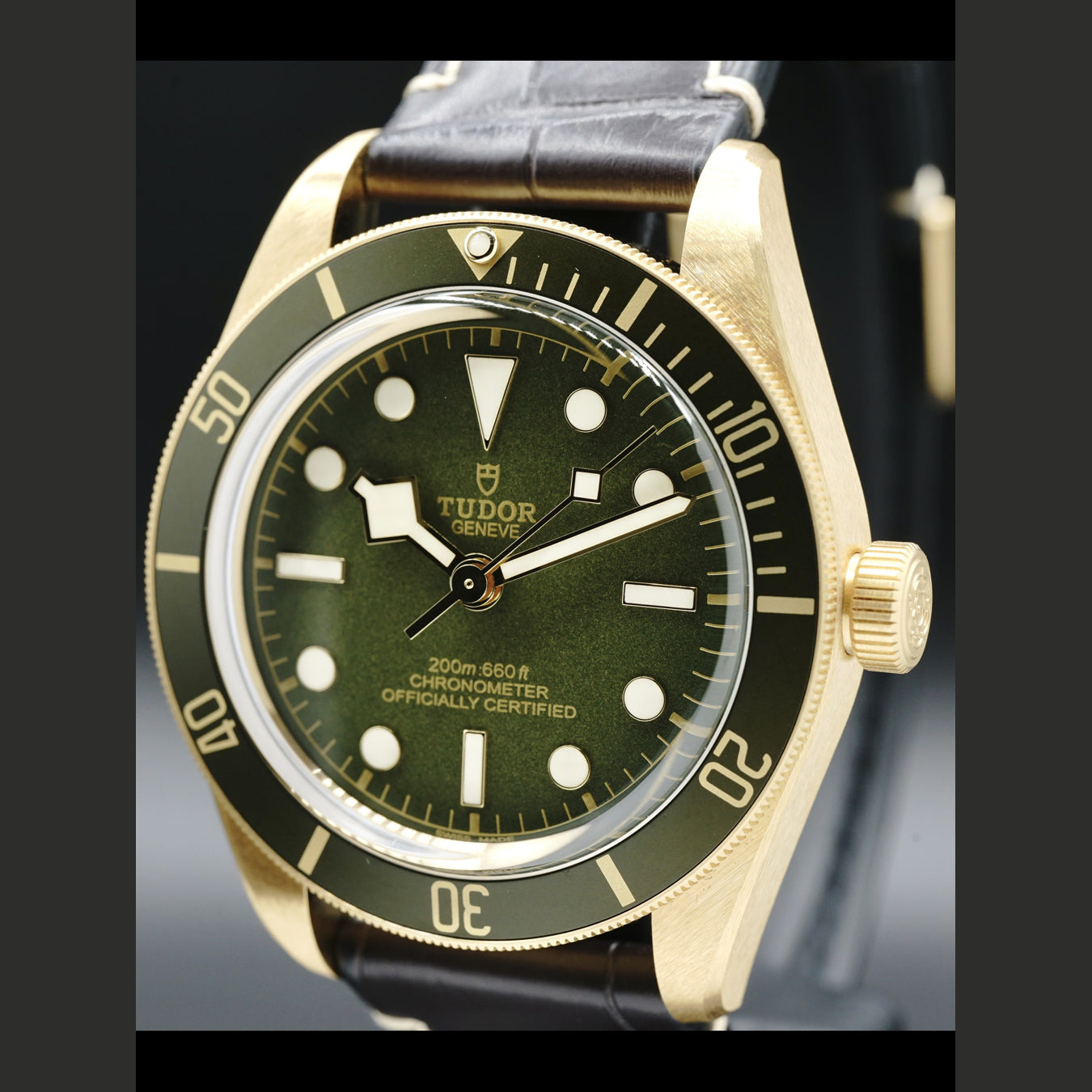 Tudor Yellow Gold Black Bay 79018V