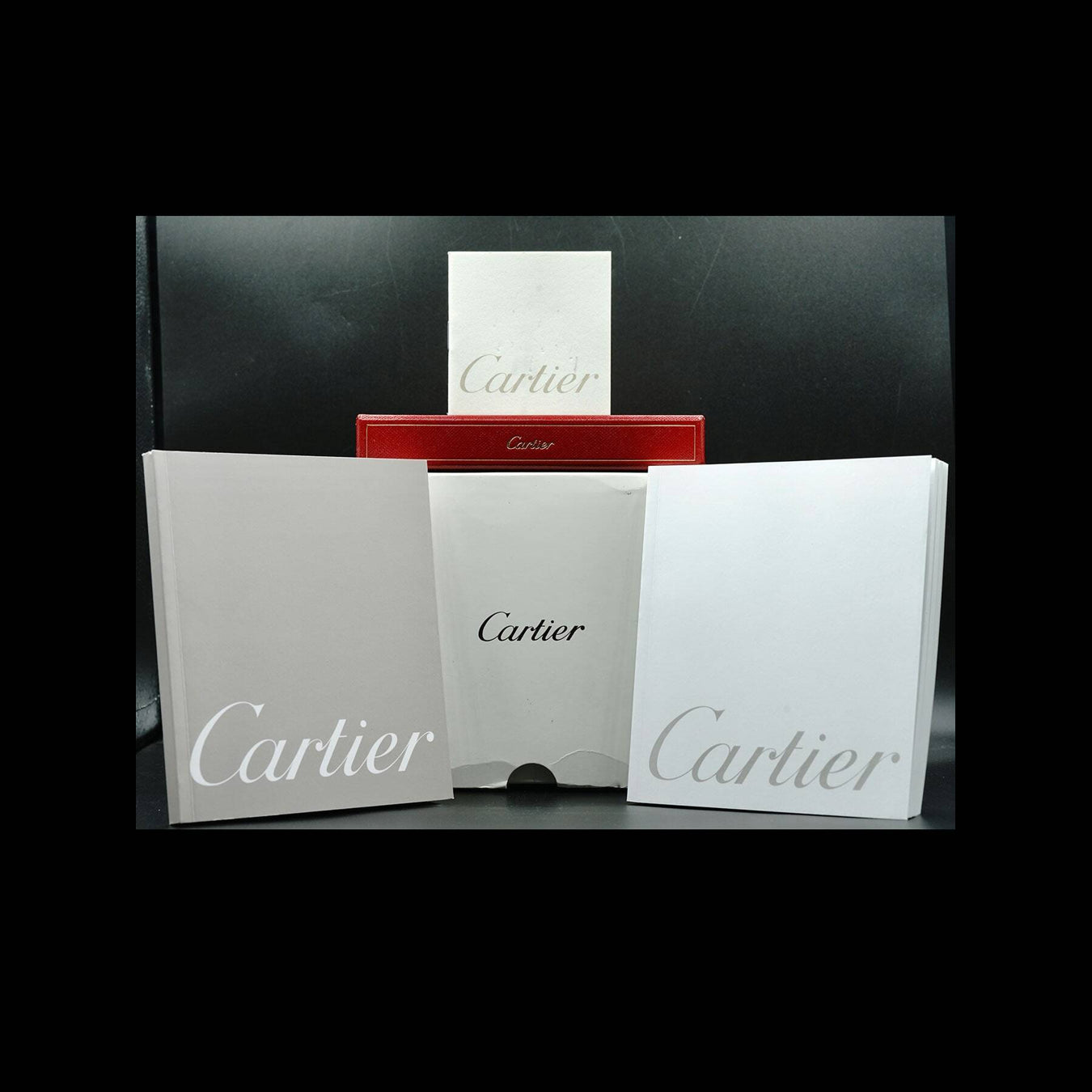 Cartier Santos Dumont W2012851