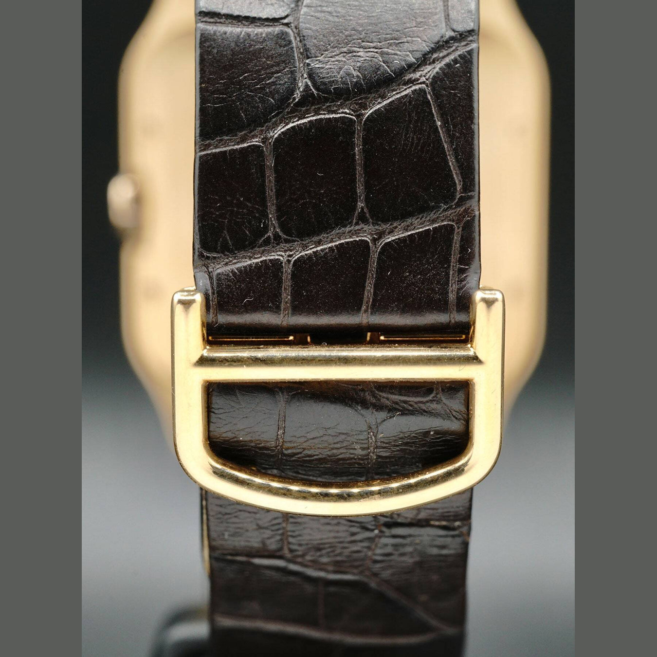 Cartier Santos Dumont W2012851