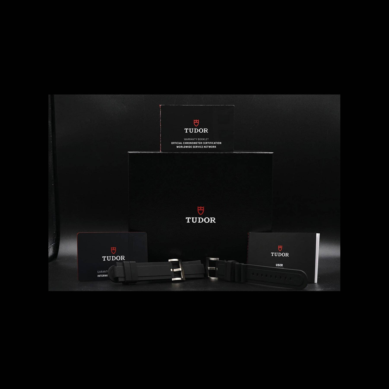 Tudor Pelagos Titanium Chronometer Automatic Black Dial 25600TN