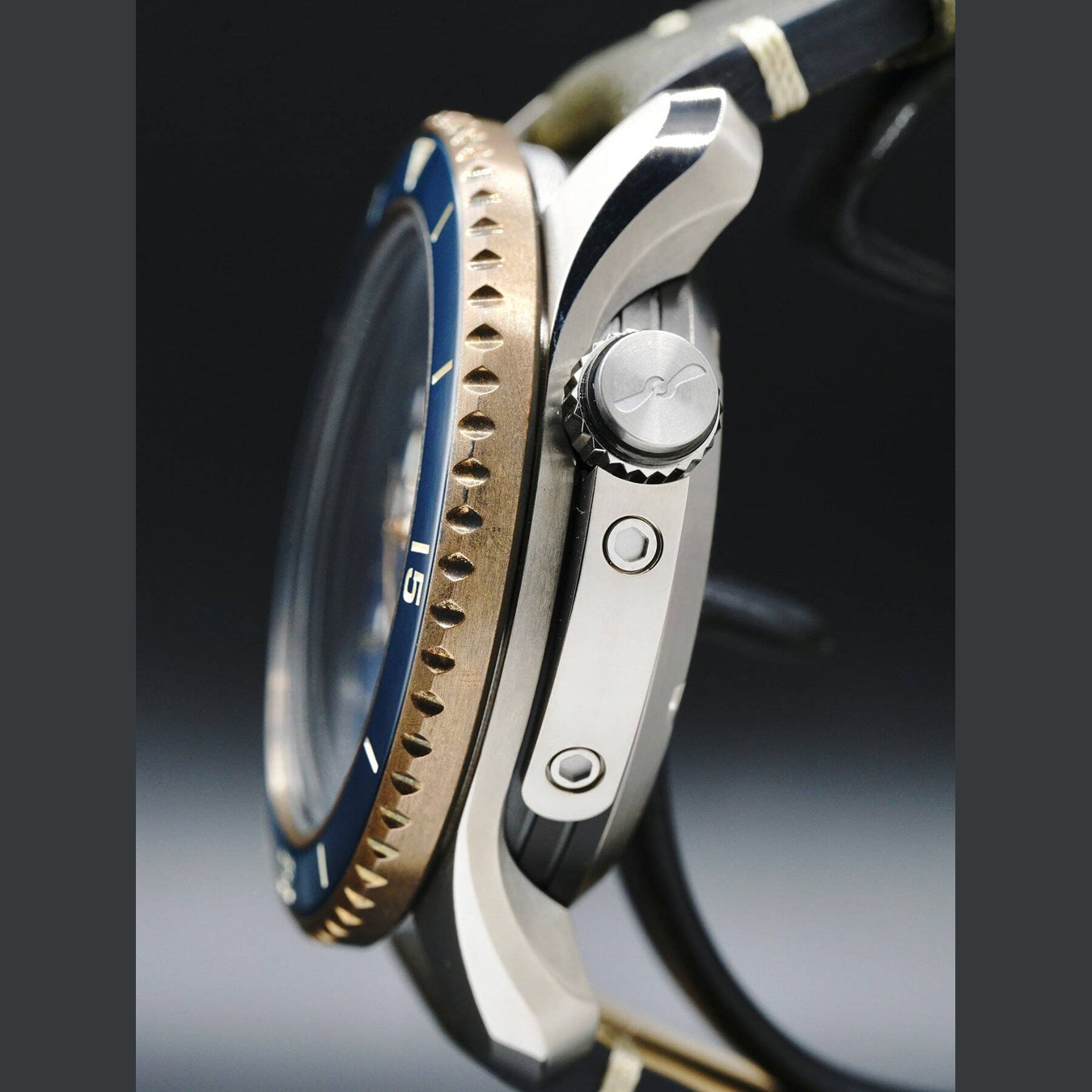 Bremont Project Possible