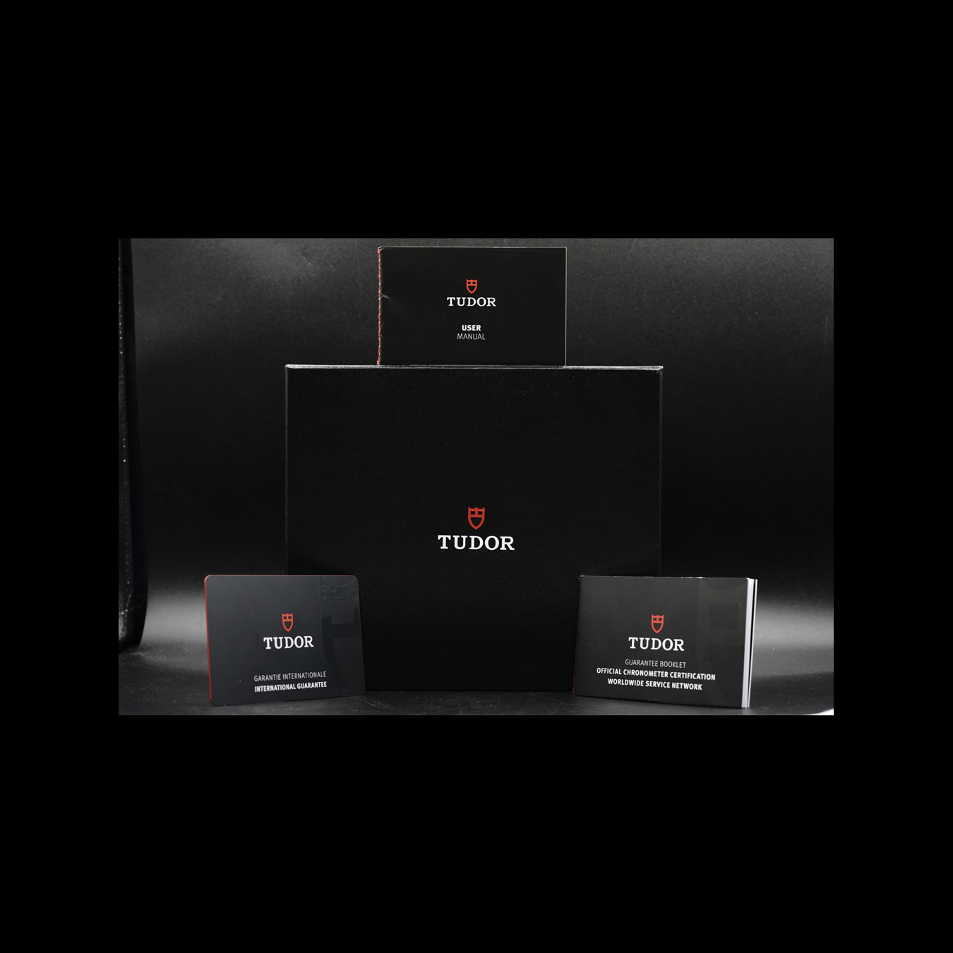 Tudor Black Bay Inverted Panda 79360N