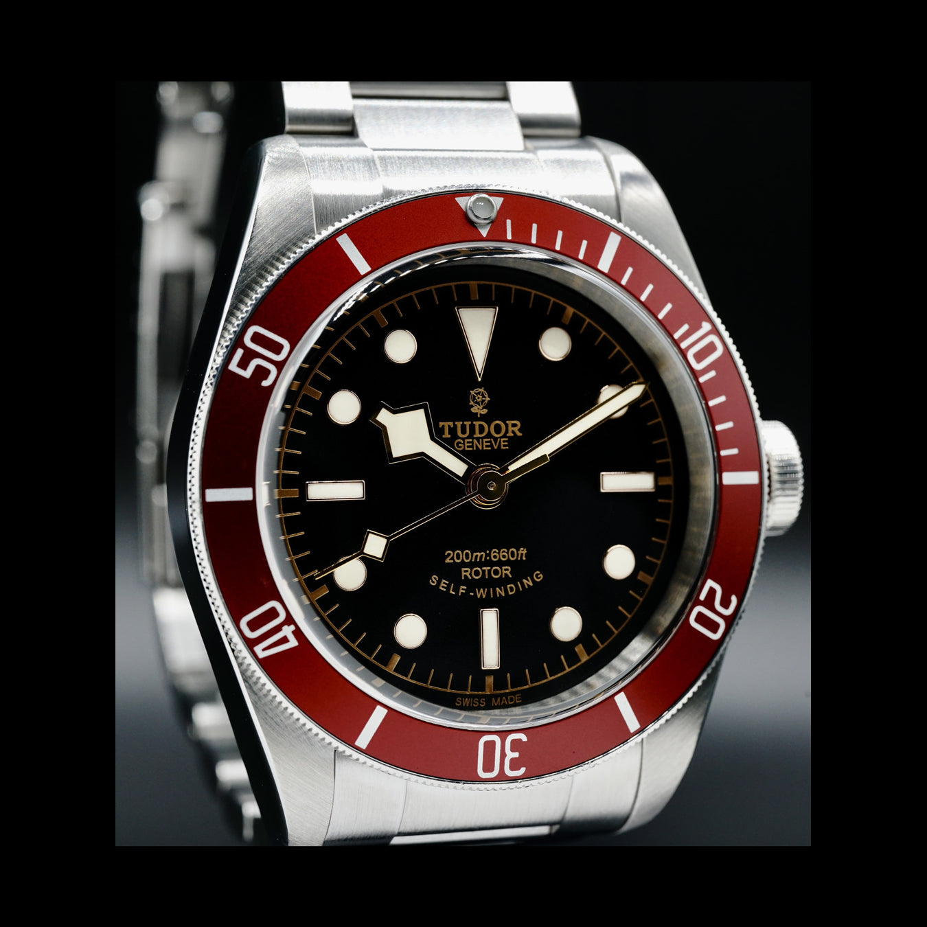 Tudor Heritage Black Bay 79220R