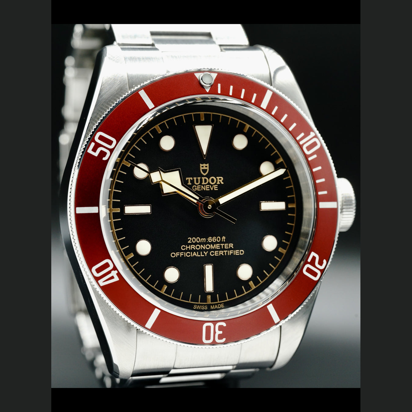 Tudor Heritage Black Bay M79230R-0003