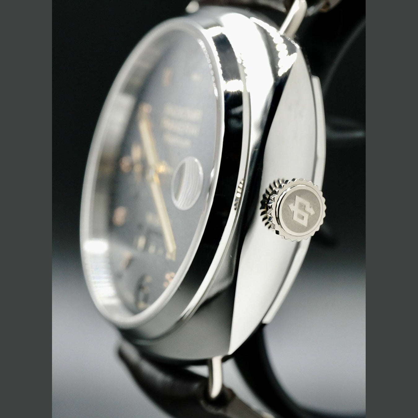 Panerai Radiomir 10 Days GMT PAM495