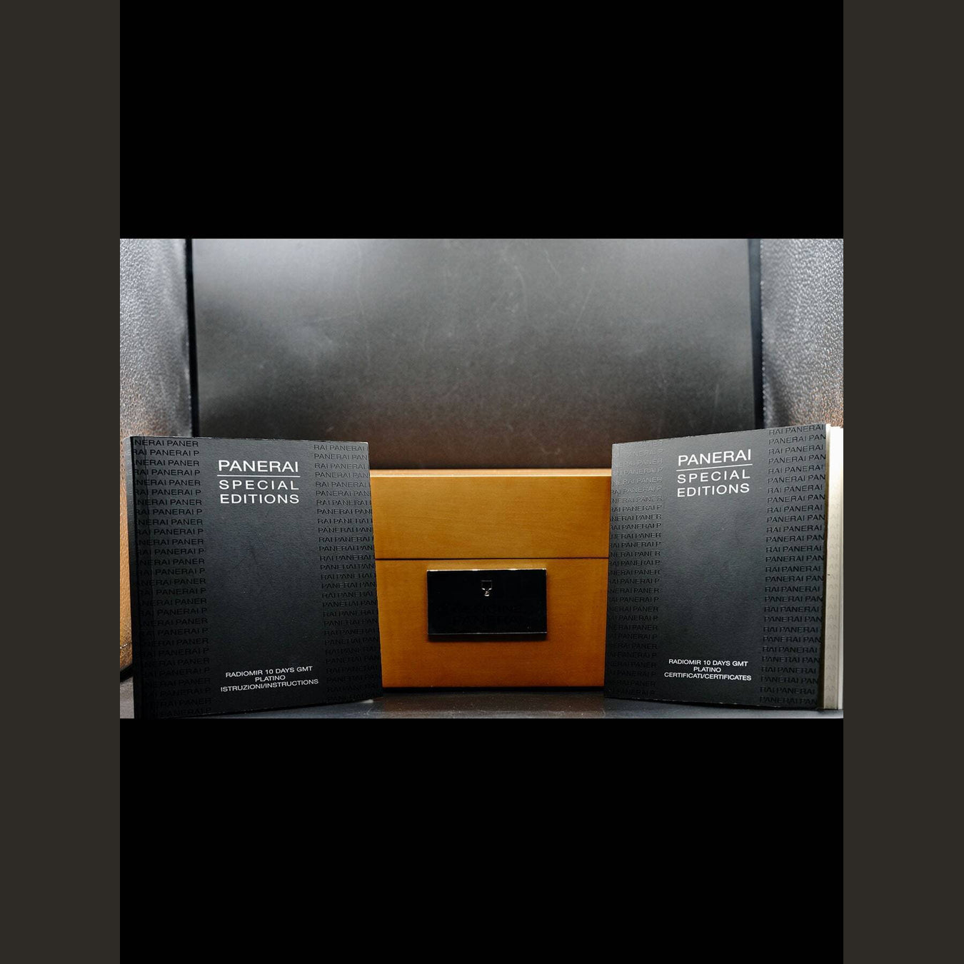 Panerai Radiomir 10 Days GMT PAM495