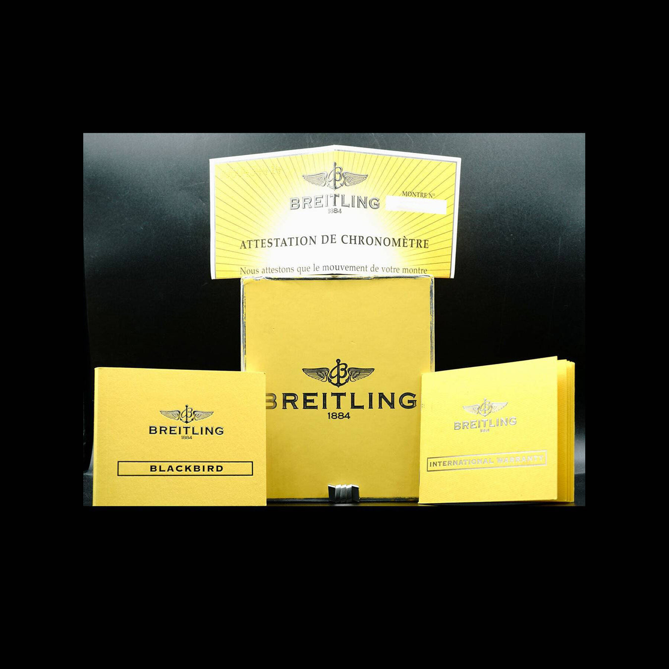 Breitling Blackbird A44359