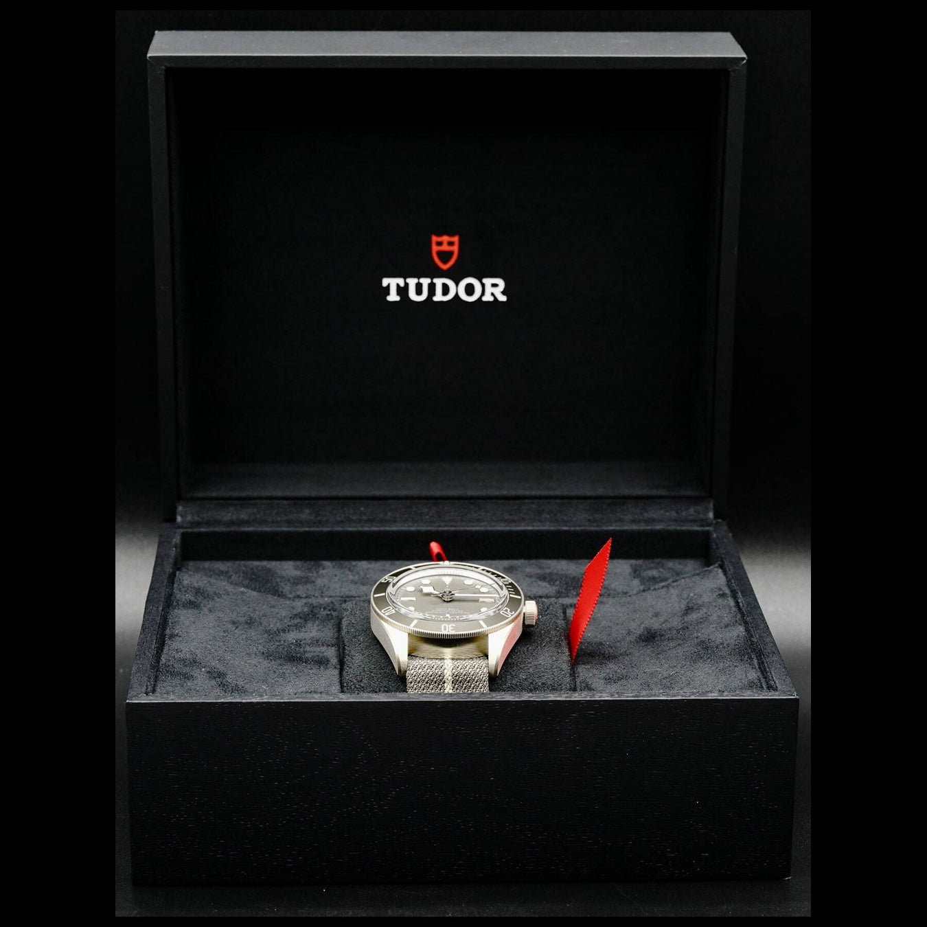 Tudor Black Bay 58 925 on Nato Strap 790105G