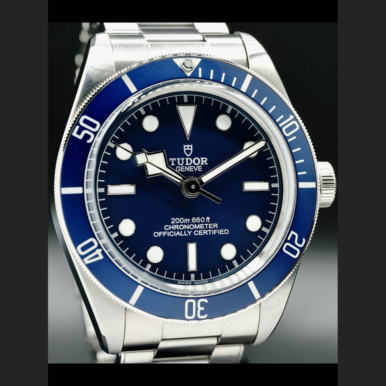 Tudor Black Bay 58 M79030B-0901
