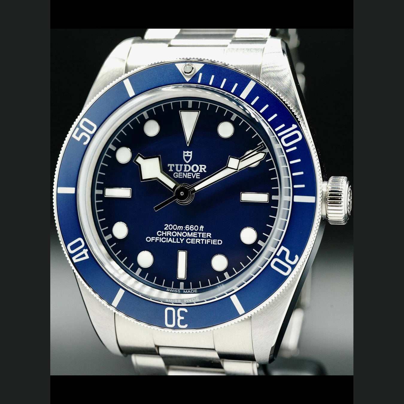 Tudor Black Bay 58 M79030B-0901