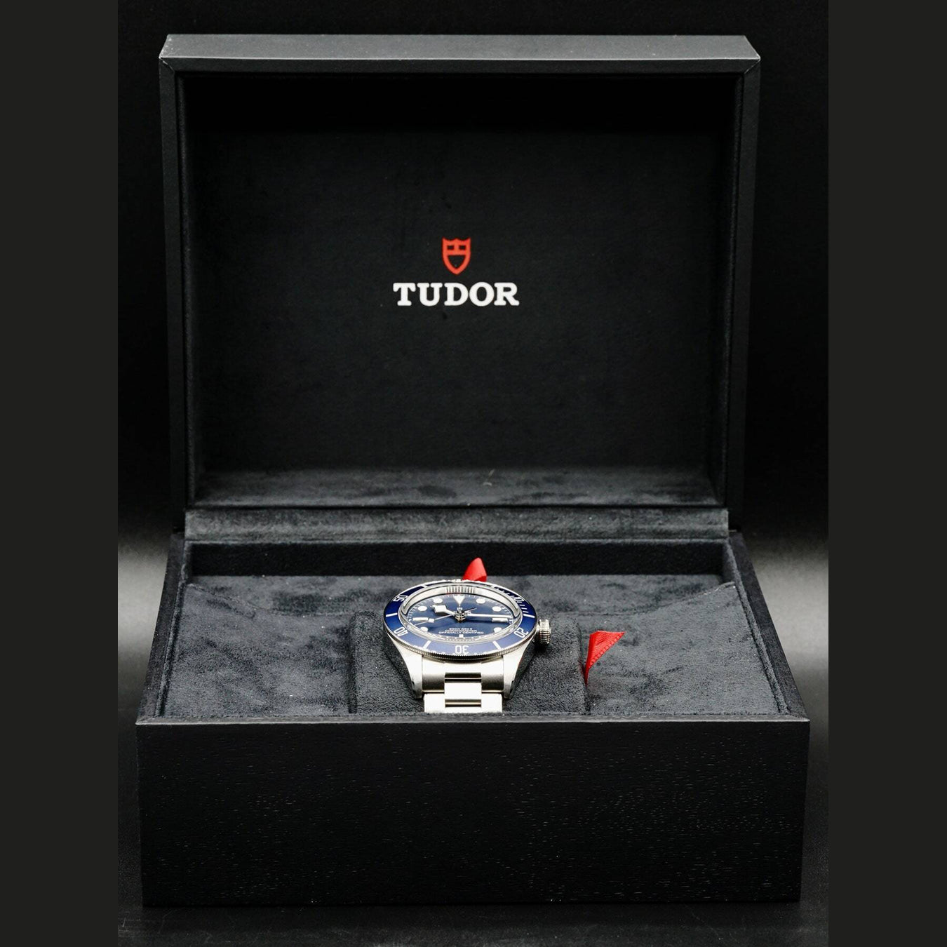Tudor Black Bay 58 M79030B-0901