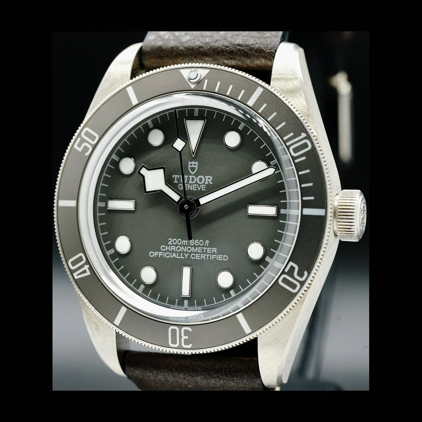 Tudor Black Bay 58 925 79010SG