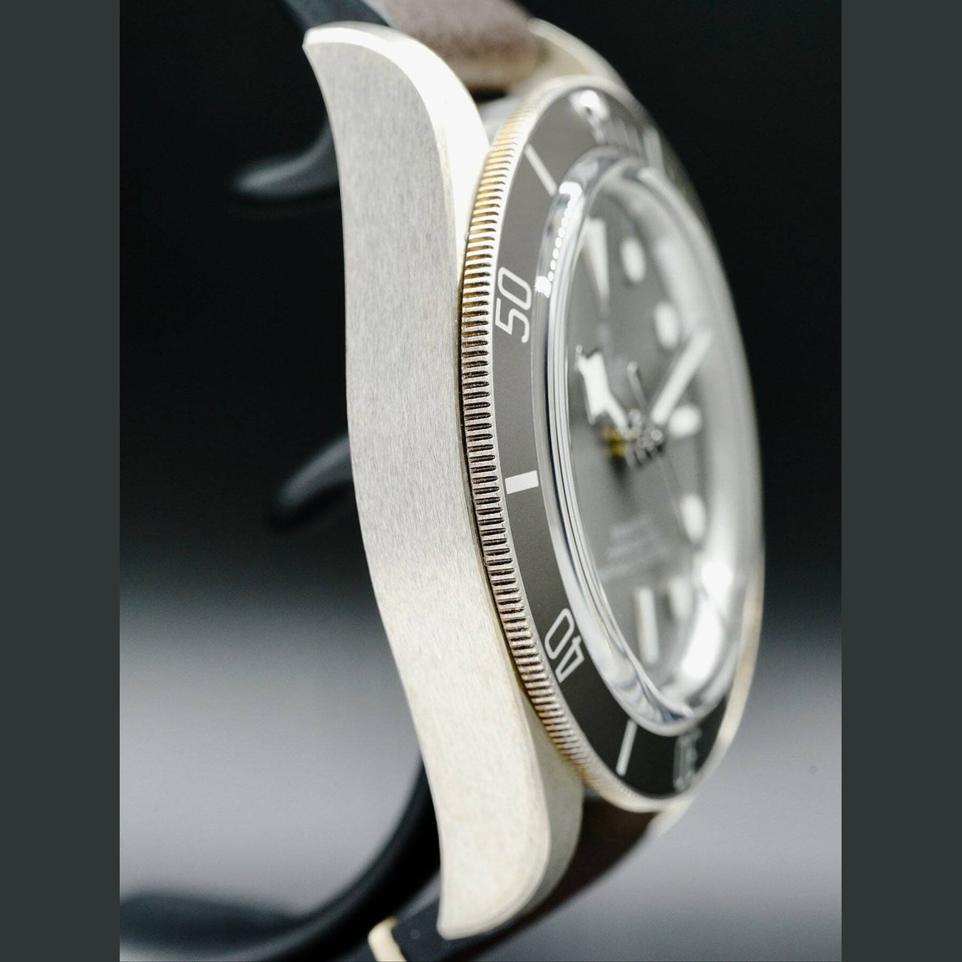 Tudor Black Bay 58 925 79010SG