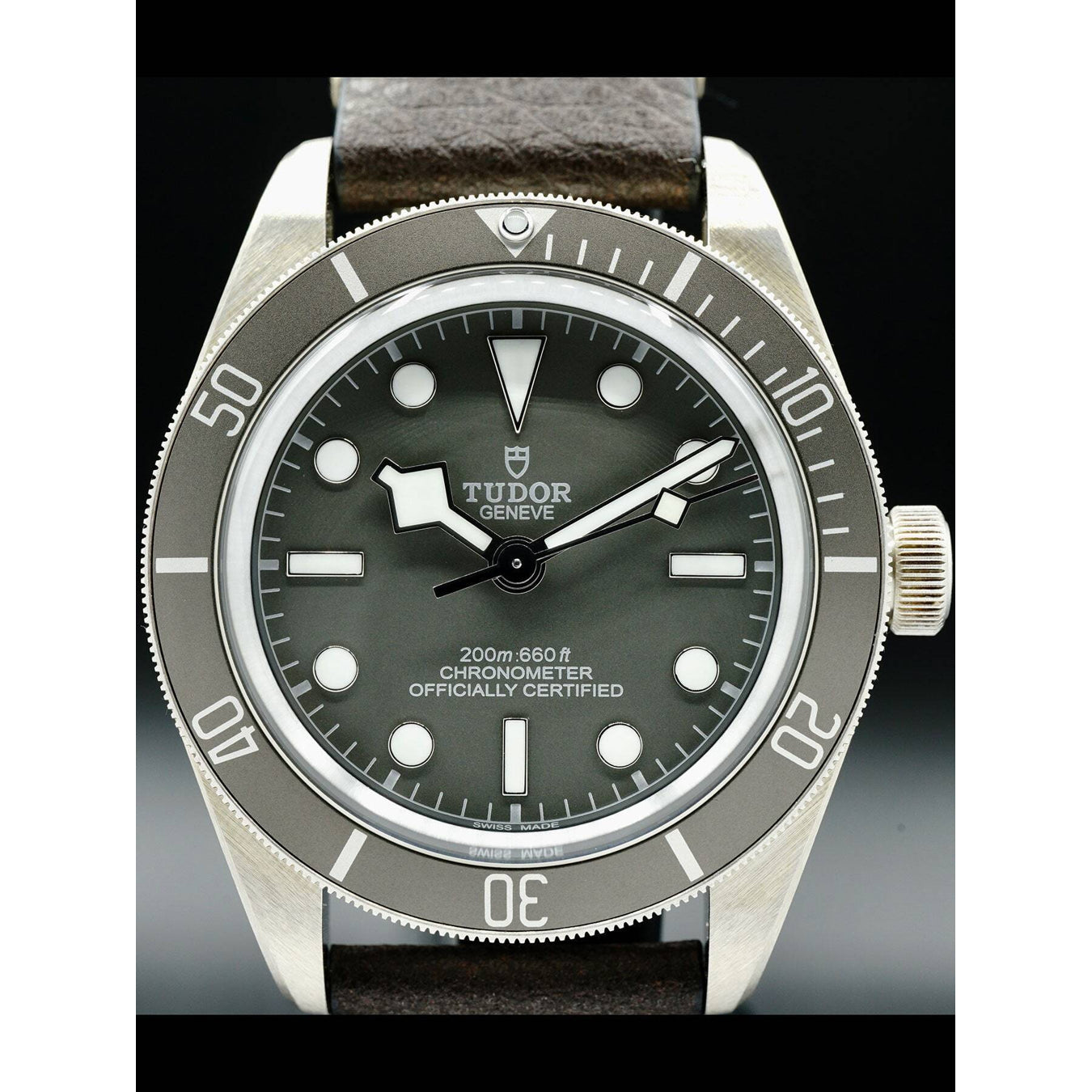 Tudor Black Bay 58 925 79010SG
