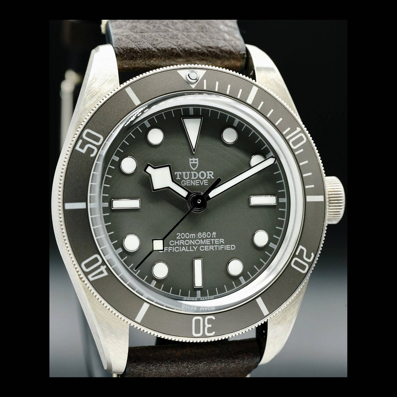 Tudor Black Bay 58 925 79010SG