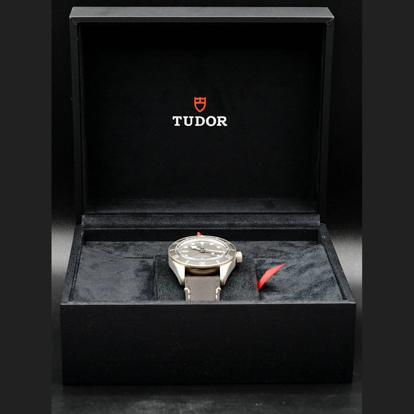 Tudor Black Bay 58 925 79010SG