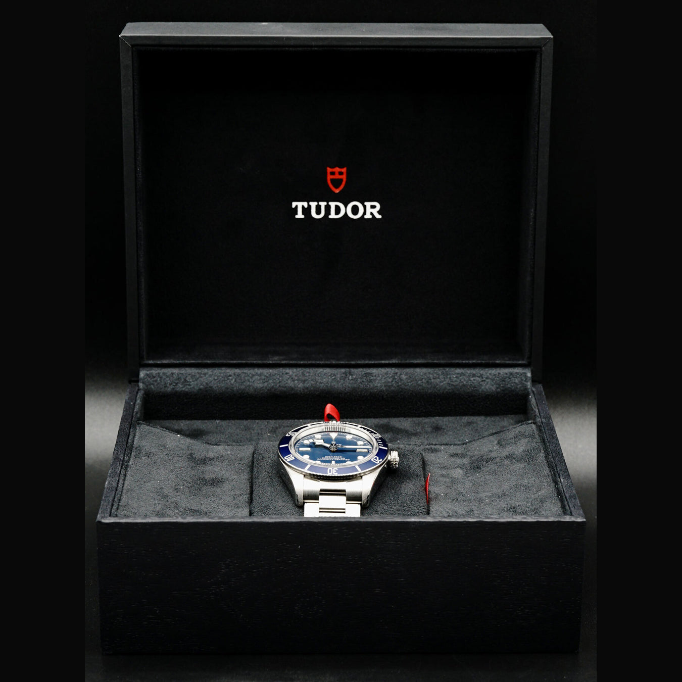 Tudor Black Bay 58 79030B