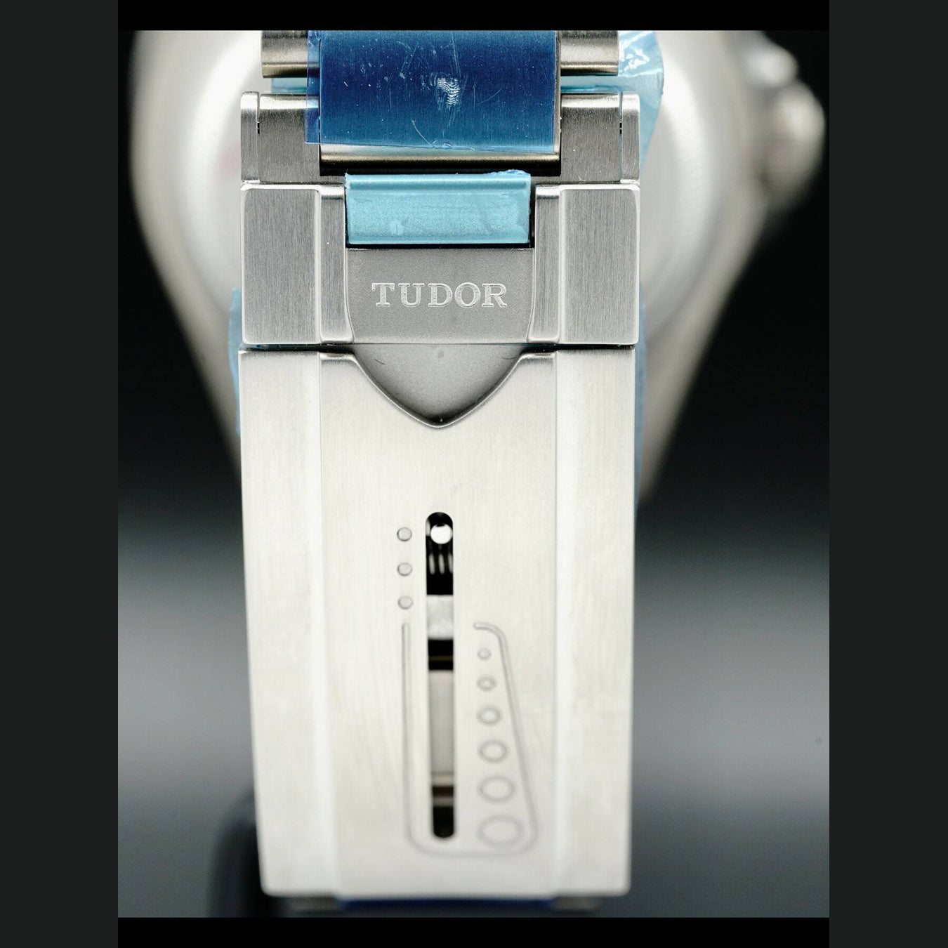 Tudor Pelagos 25600TN