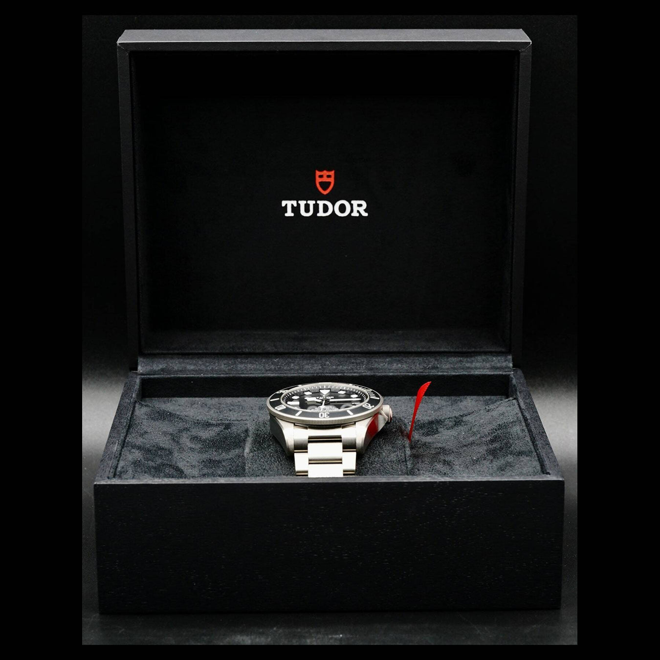 Tudor Pelagos 25600TN