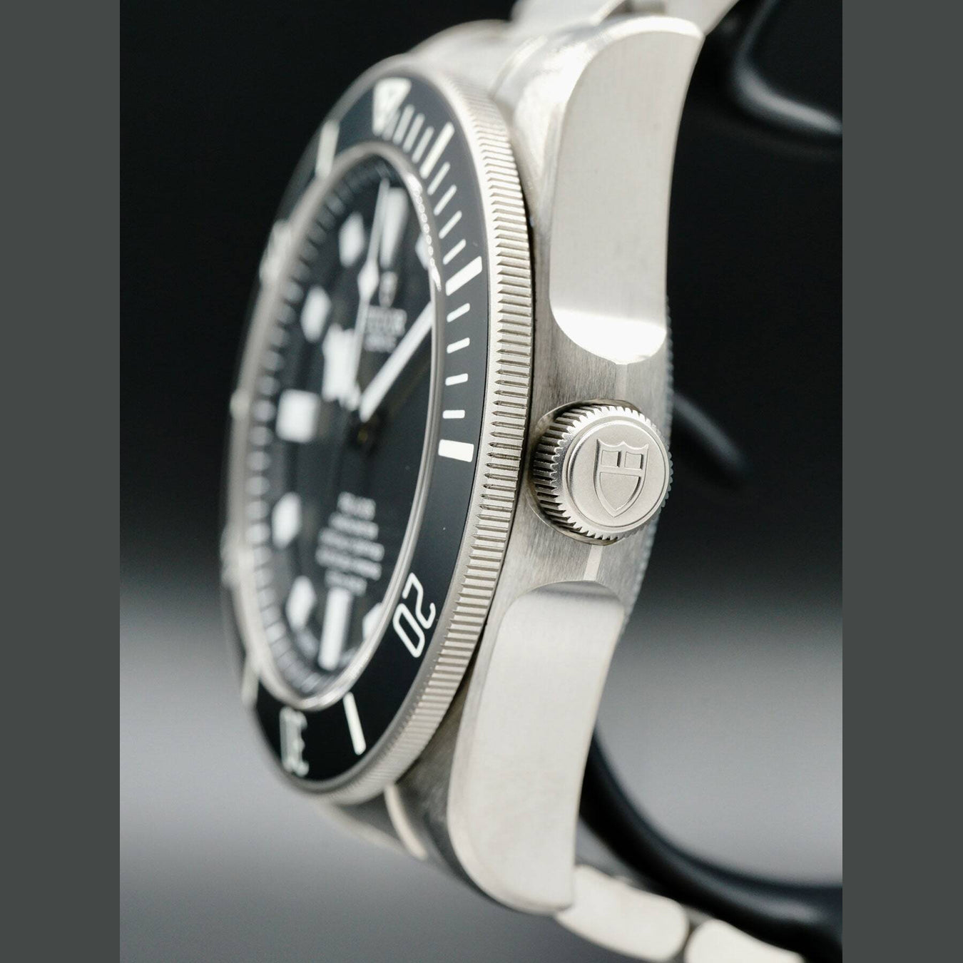 Tudor Pelagos 25600TN