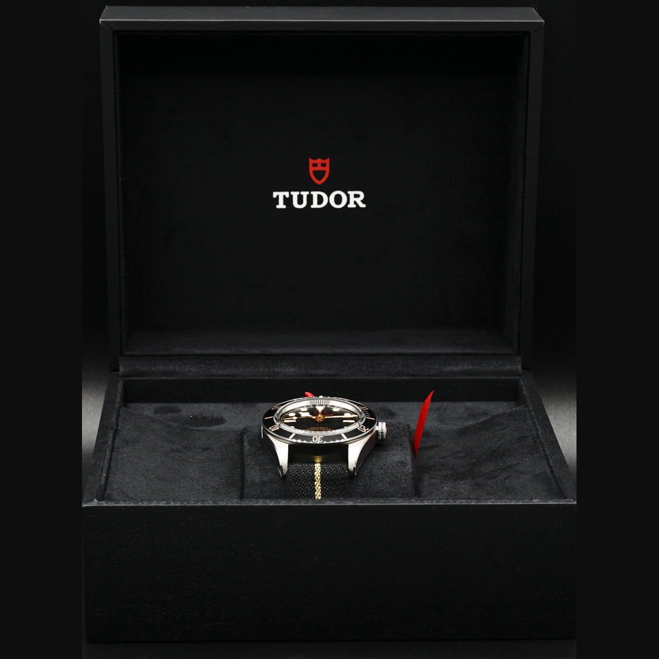 Tudor Black Bay 58 on Nato 79030N