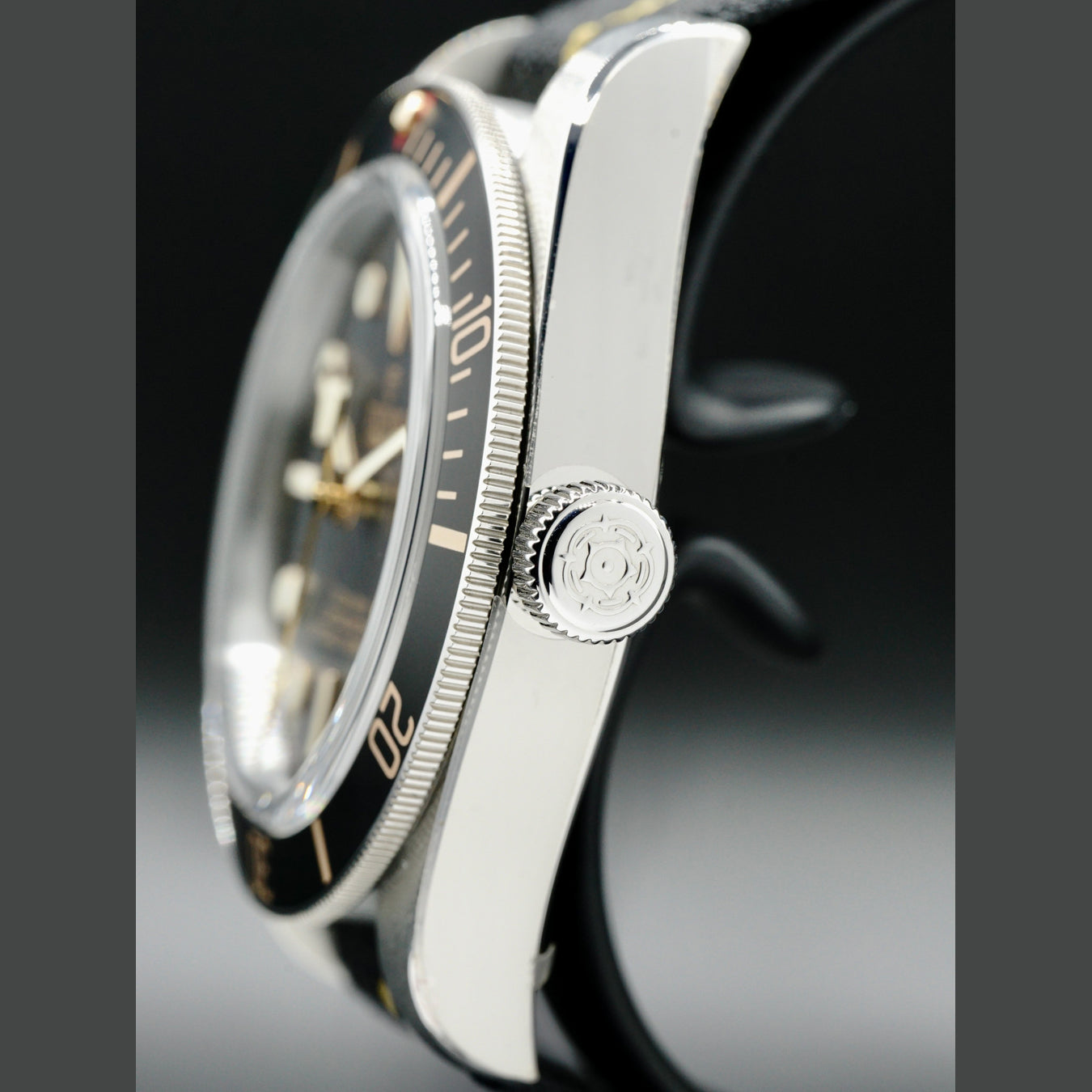 Tudor Black Bay 58 on Nato 79030N