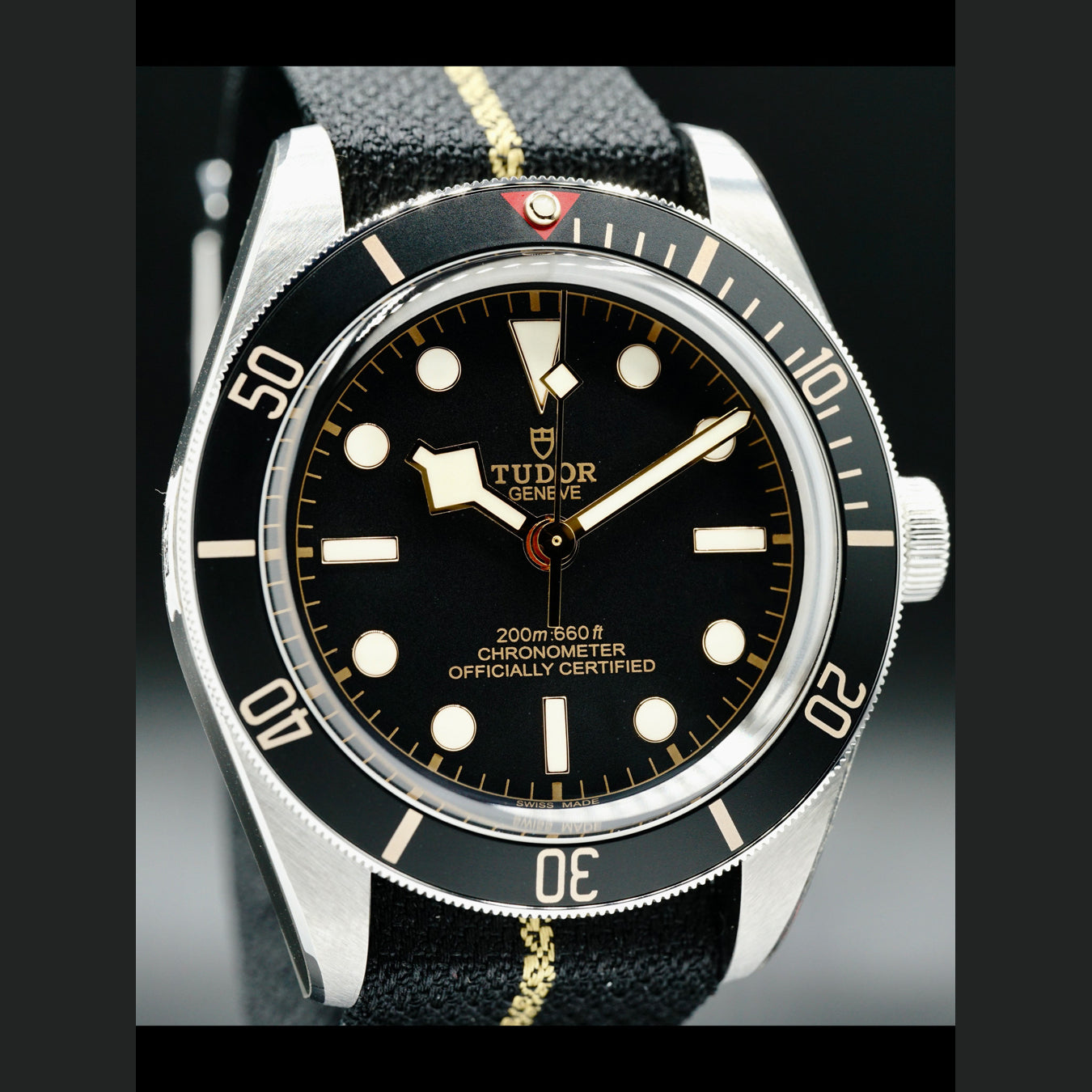 Tudor Black Bay 58 on Nato 79030N