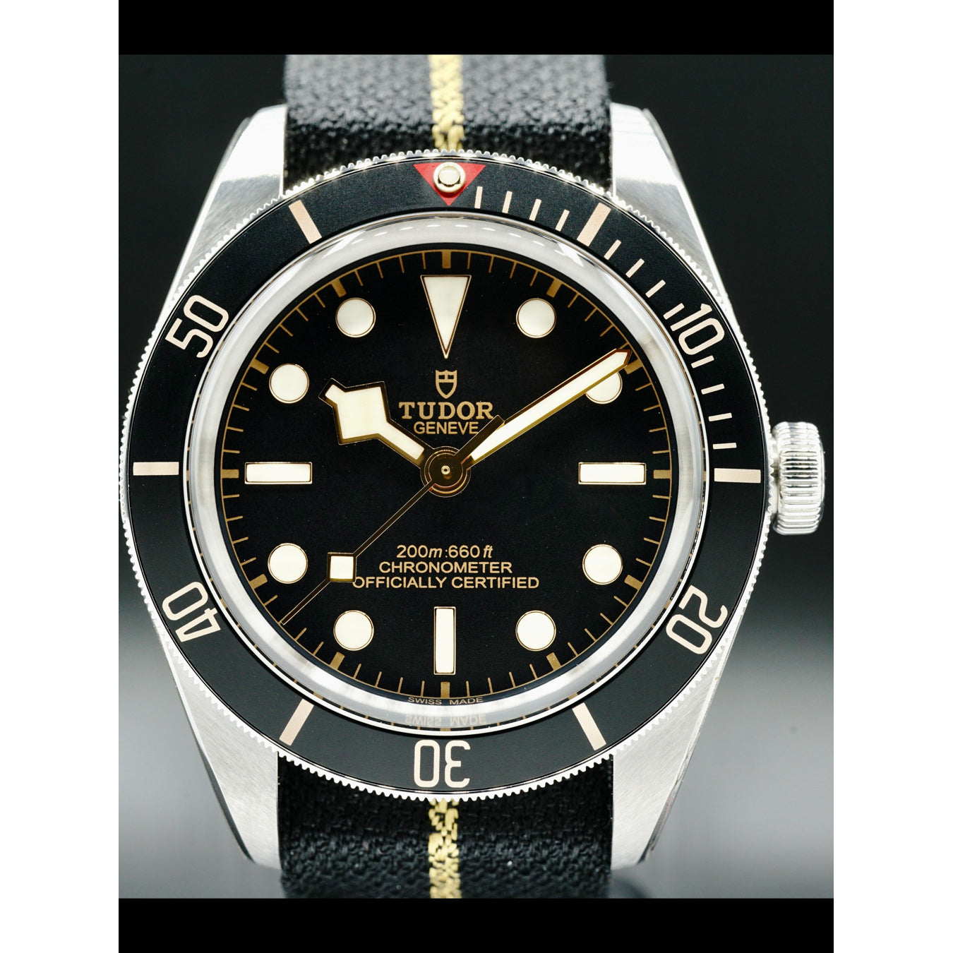 Tudor Black Bay 58 on Nato 79030N
