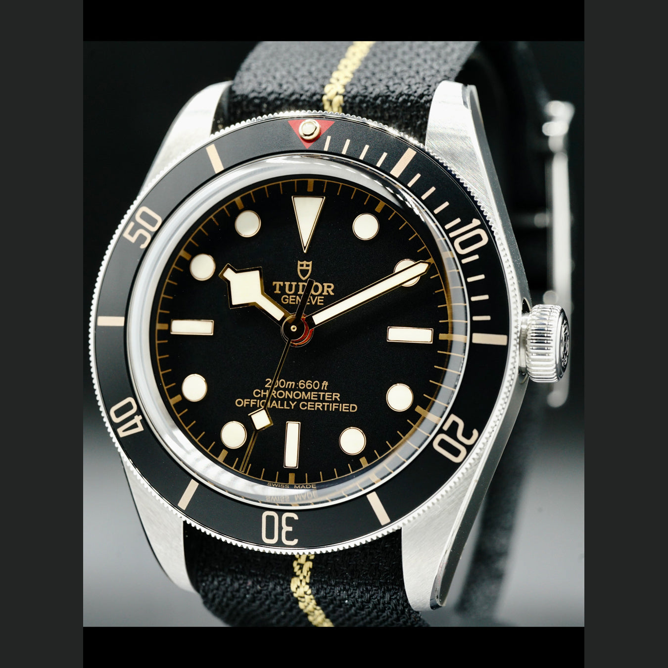 Tudor Black Bay 58 on Nato 79030N