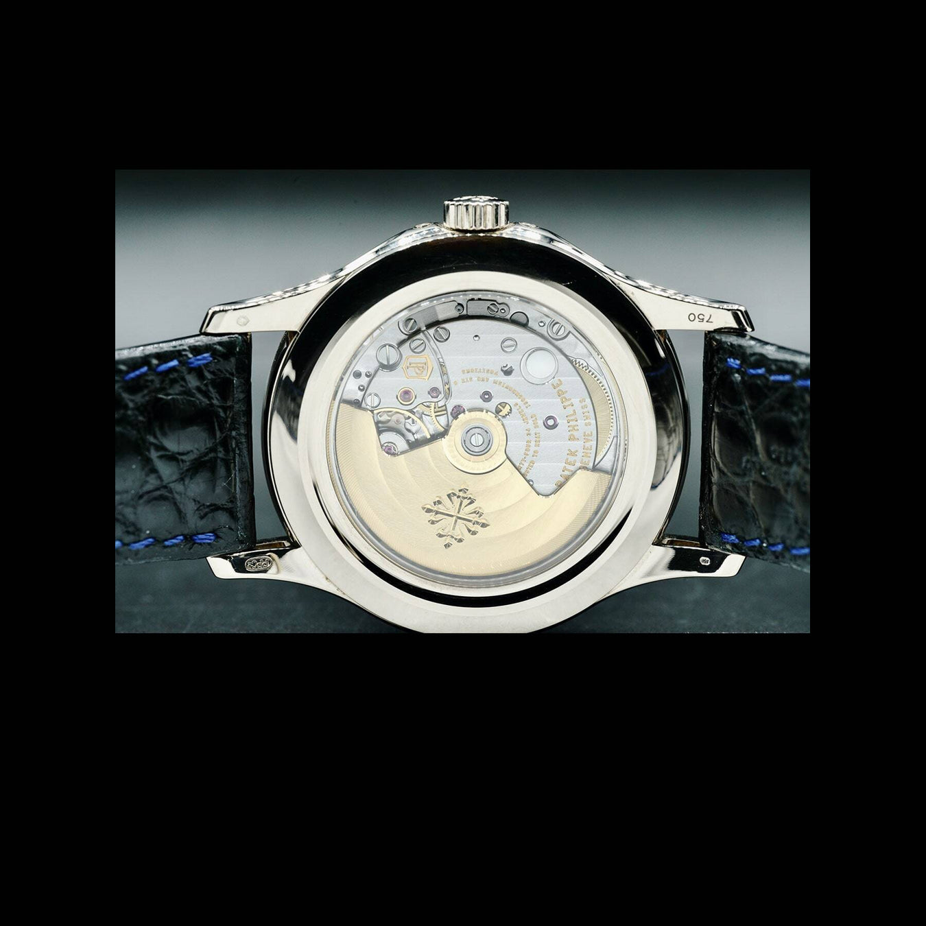 Patek Philippe Complications Moon Phases Annual Calendar 5205G-013