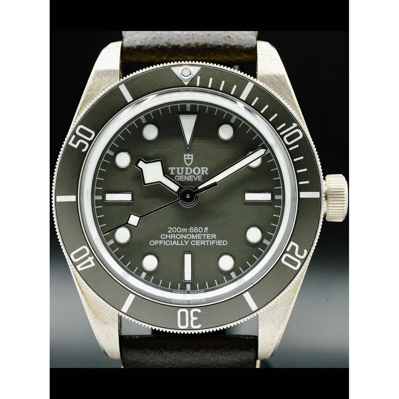 Tudor Black Bay 58 925 79010SG