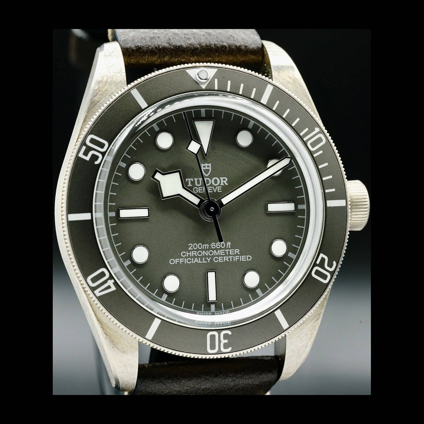 Tudor Black Bay 58 925 79010SG