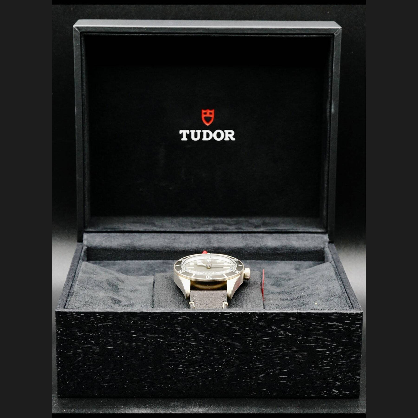 Tudor Black Bay 58 925 79010SG