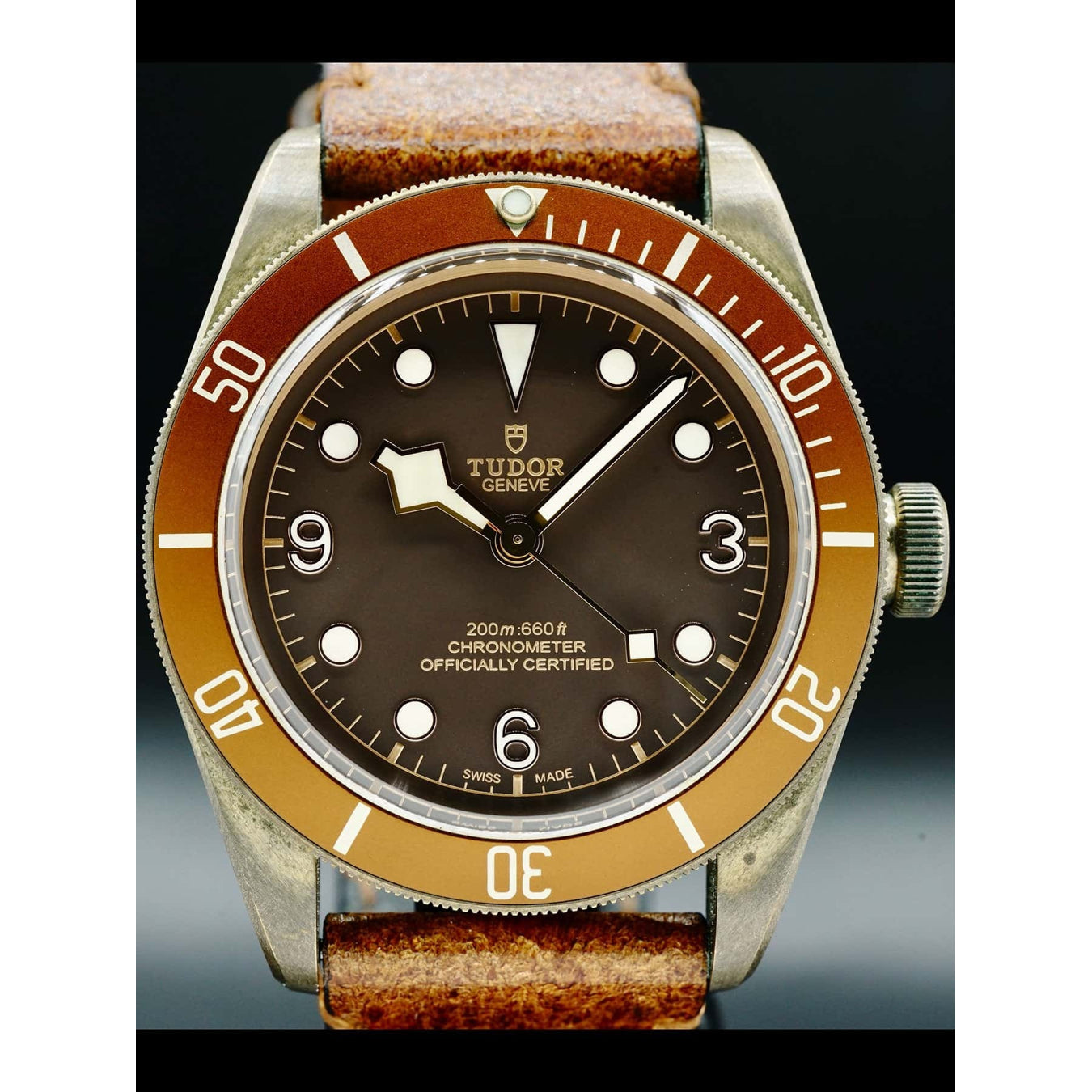 Tudor Heritage Black Bay Bronze 79250BM