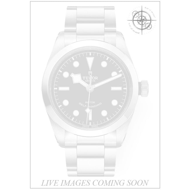 Tudor Black Bay 79500