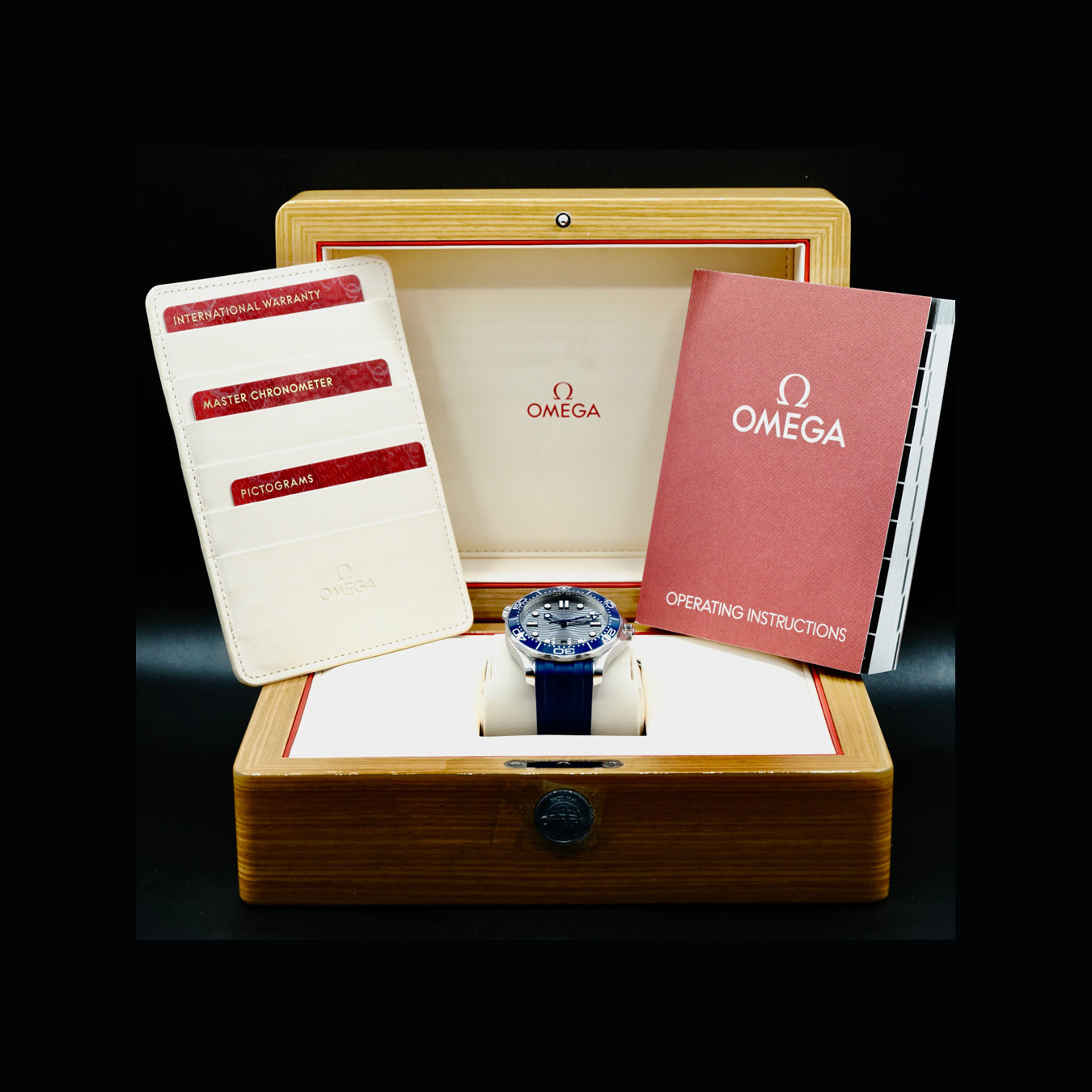 Omega Seamaster Diver 300M Co-Axial Master Chronometer on Strap 210.32.42.20.06.001