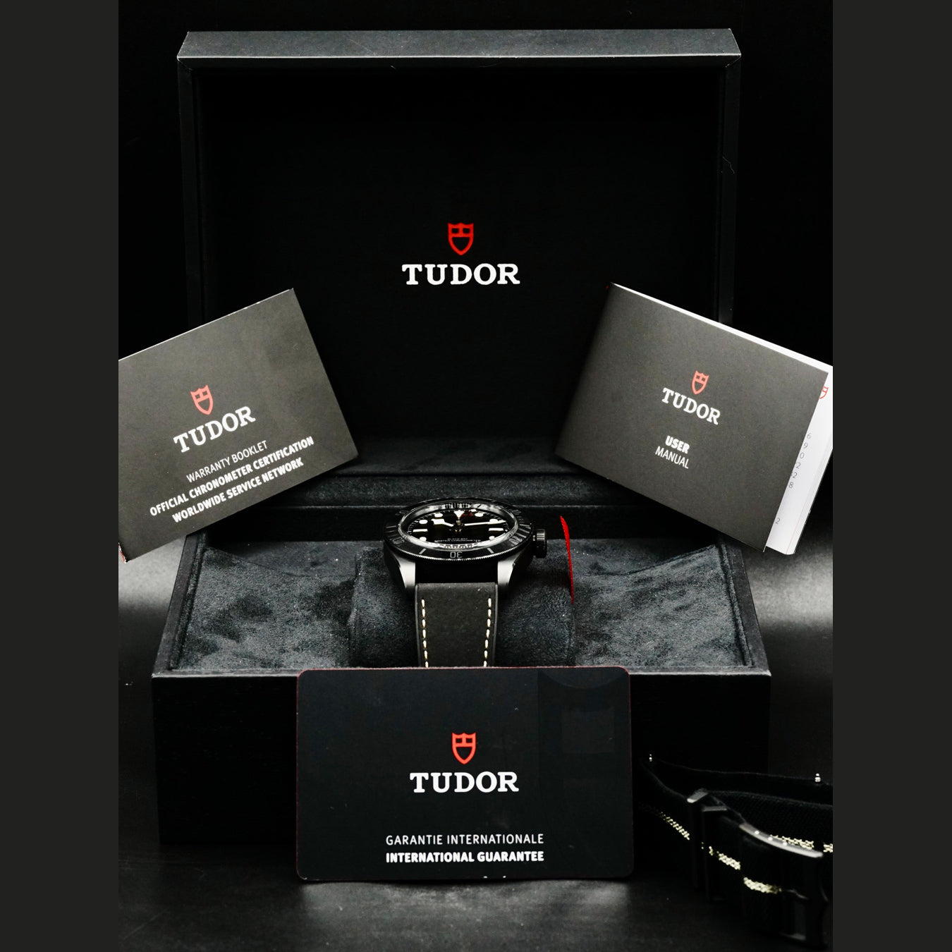 Tudor Black Bay 79210CNU