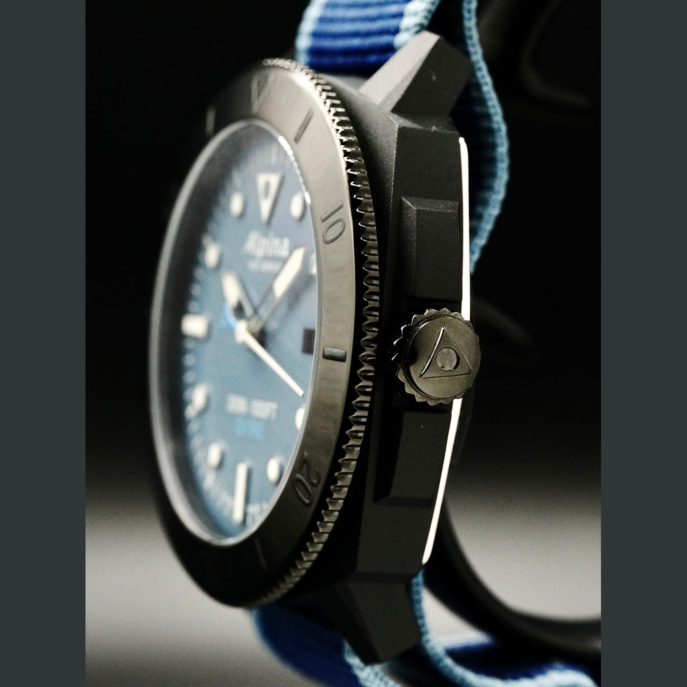 Alpina Seastrong Diver AL-525LNB4VG6