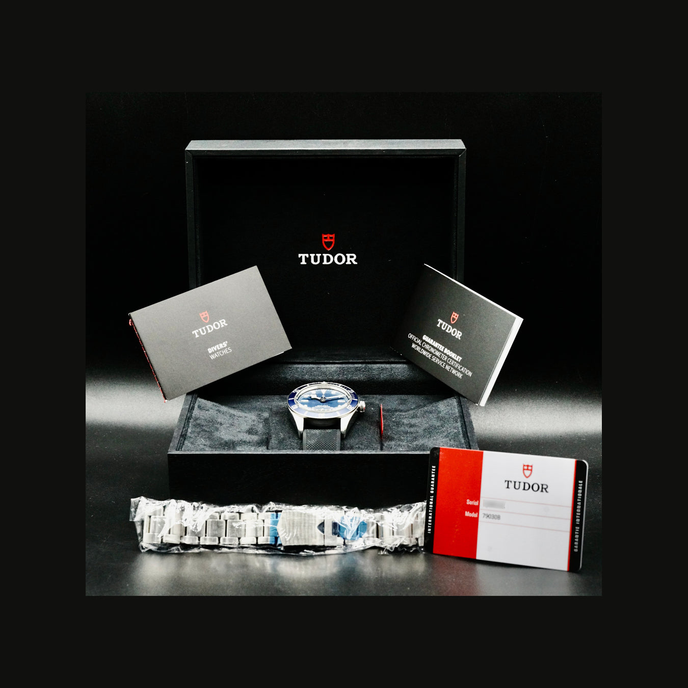 Tudor 79030B Black Bay