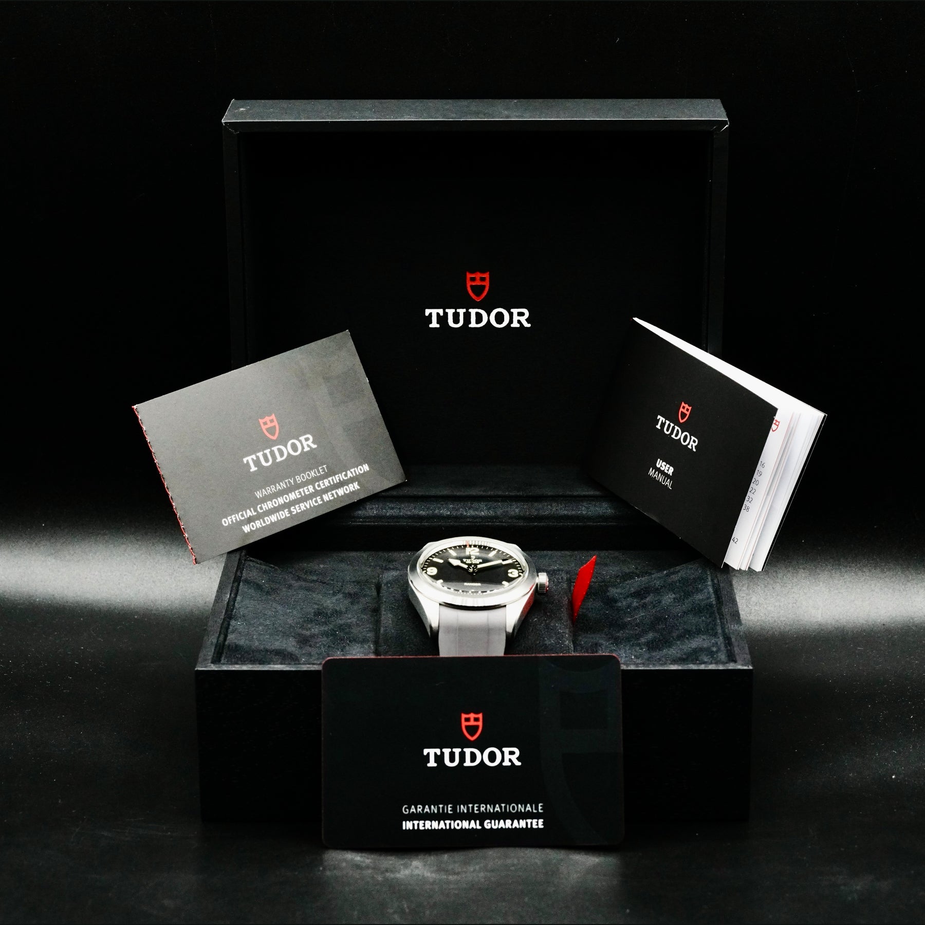 Tudor 79950 SS Ranger on Bracelet