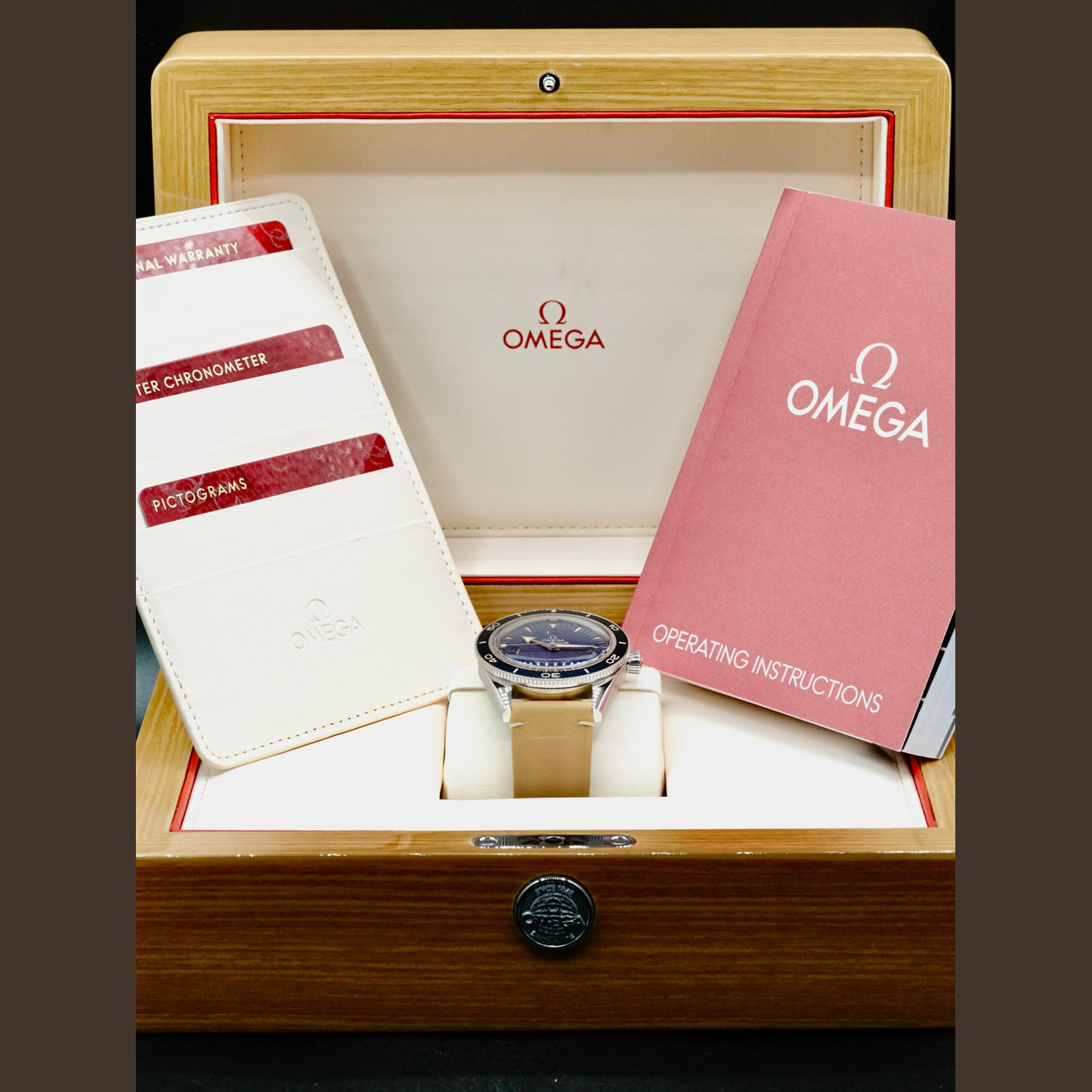 Omega 234.32.41.21.03.001 Seamaster 300 Master Chronometer