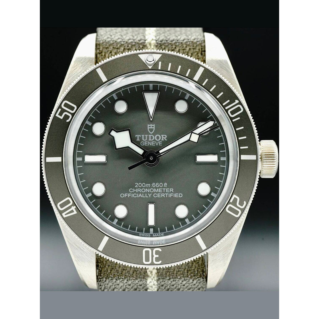 Tudor Black Bay 58 925 on Nato Strap 790105G