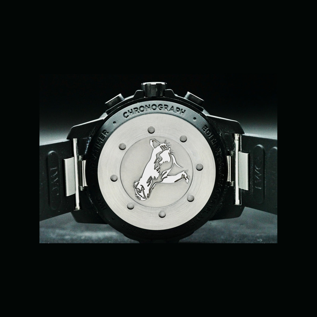 IWC IW379502 Aquatimer