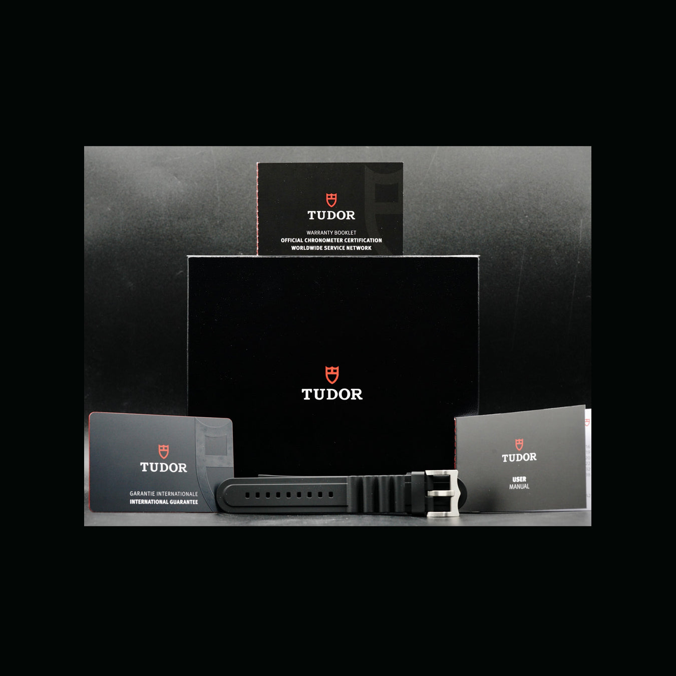 Tudor 25600TN Black Pelagos