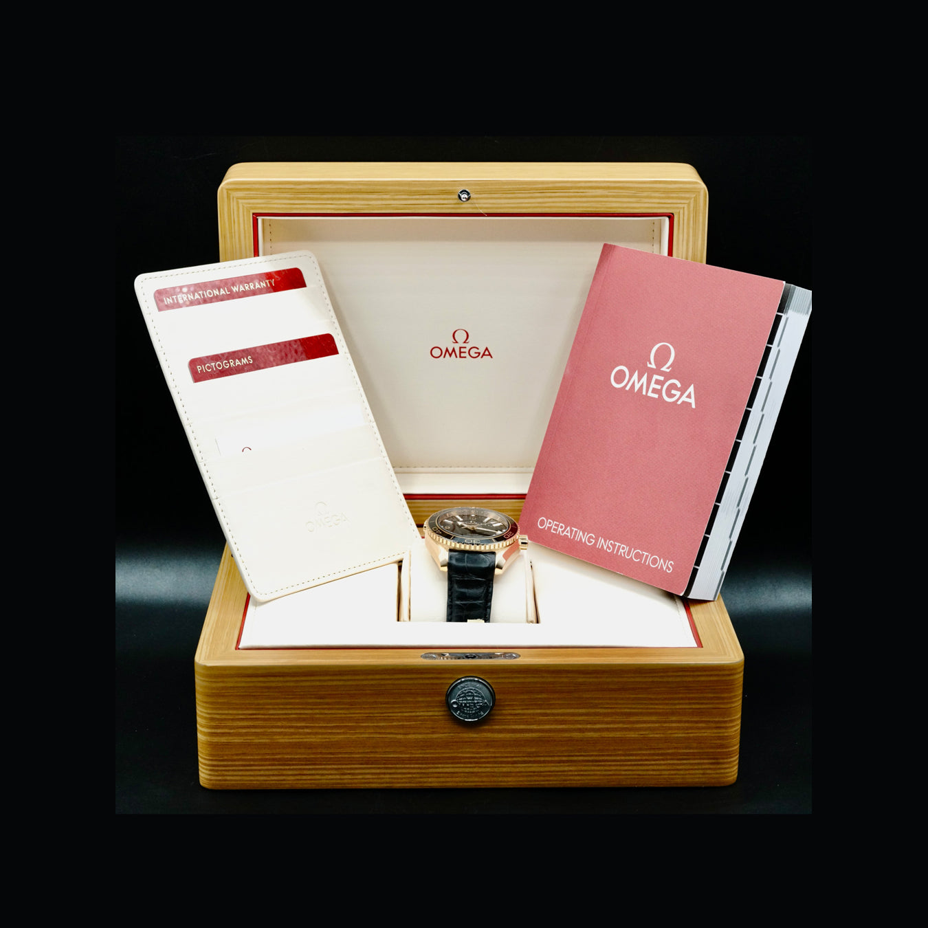 Omega 232.63.42.21.01.001 Planet Ocean 600M Co-axial 42mm